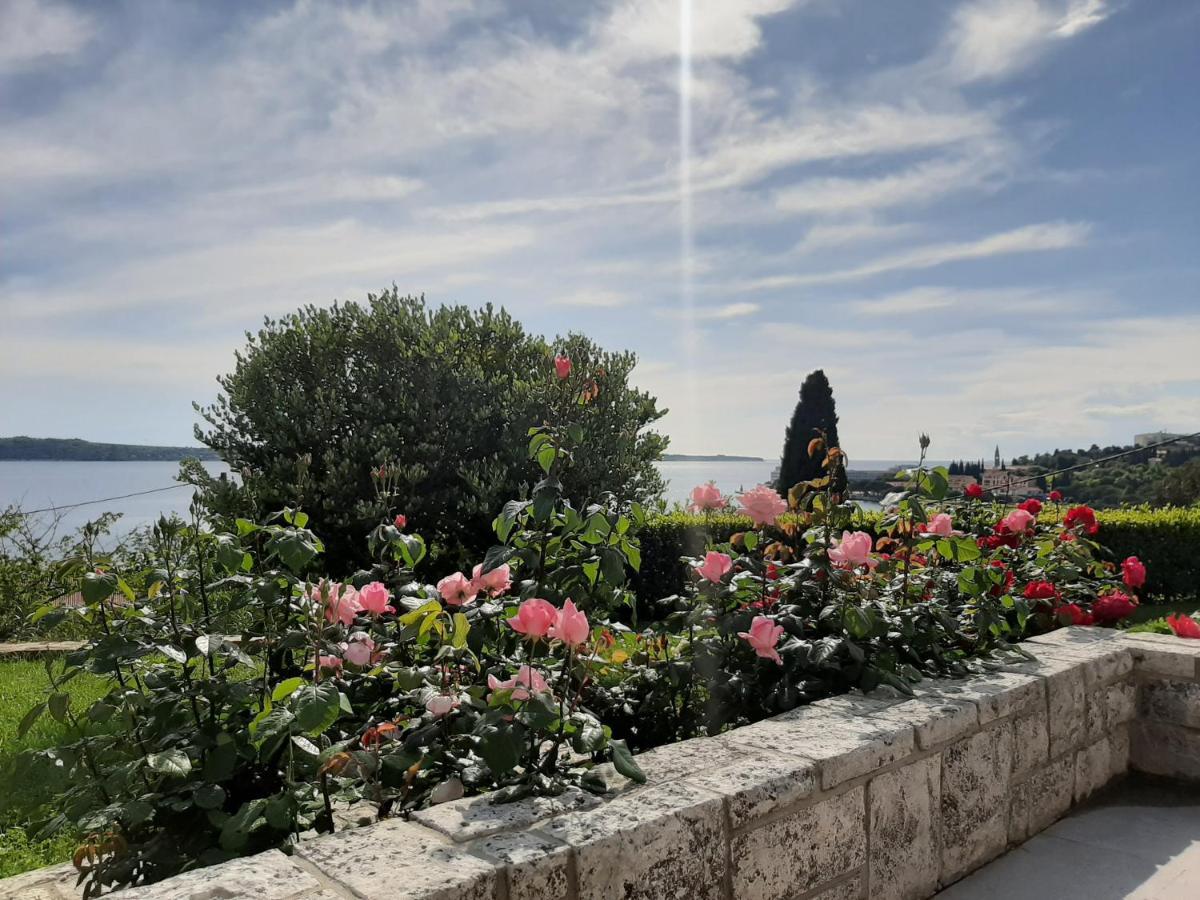 Studio Solare Portoroz Bagian luar foto
